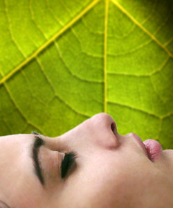 Dromen ondernemen bedrijf