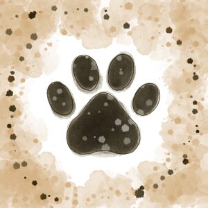 Multitalent hoogbegaafd business coach