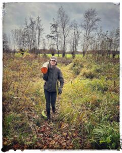 Meer omzet of meer overvloed - Business coach Ellen de Lange-Ros